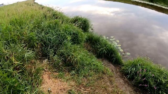 РАДИ ЭТОГО МОМЕНТА И ЕДЕШЬ НА РЫБАЛКУ! КАК В СИБИРСКОЙ ГЛУБИНКЕ ЛОВЯТ САЗАНА. ДЕРЕВЕНСКАЯ РЫБАЛКА. смотреть онлайн
