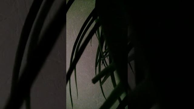 Должники смотреть онлайн