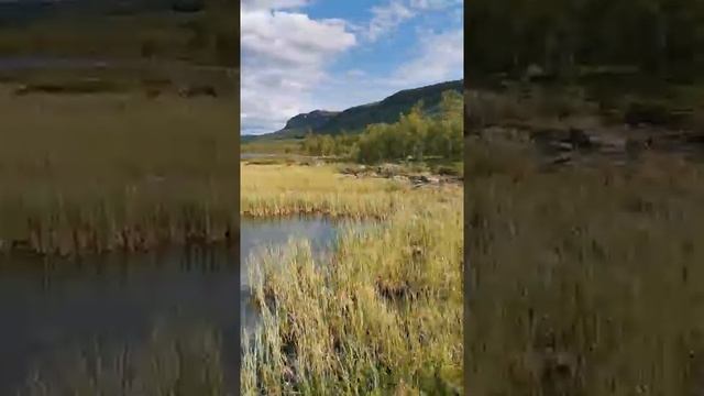 Граница Финляндия, Швеция, Норвегия смотреть онлайн