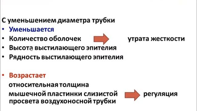 Лекция: "Дыхательная система" смотреть онлайн