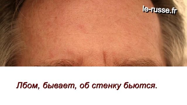 Творительный падеж - РКИ - дидактическое стихотворениение "Носом, ушами, глазами..." смотреть онлайн