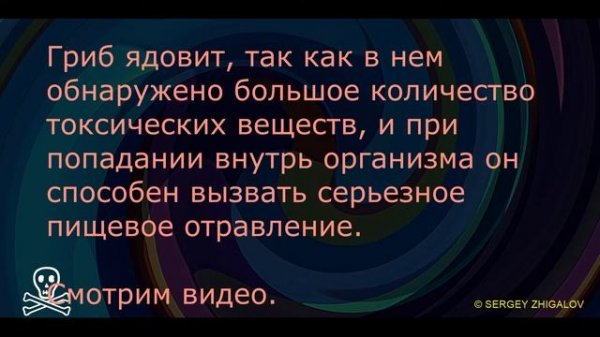 Ядовитые грибы Негниючник вонючий Marasmius foetens. Видео определитель.