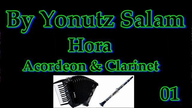 Hora Acordeon ❌ Clarinet ❌ 1 @YonutzSlm смотреть онлайн