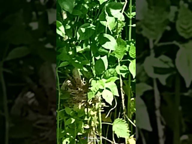 19 июня 2022 г. смотреть онлайн