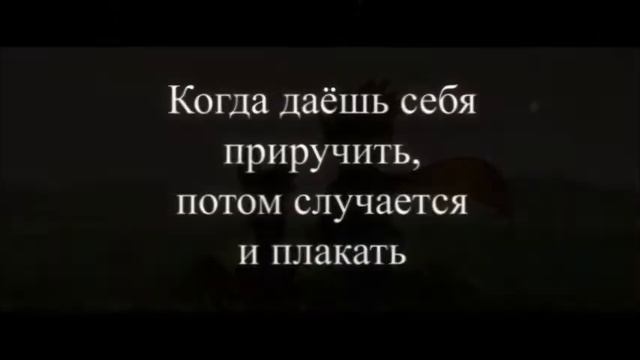 Буктрейлер Маленький Принц Сент Экзюпери смотреть онлайн