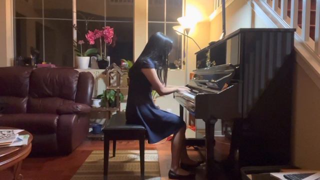 Clair de Lune, Debussy смотреть онлайн