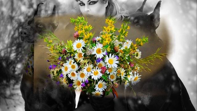Говорят есть женщины смотреть онлайн