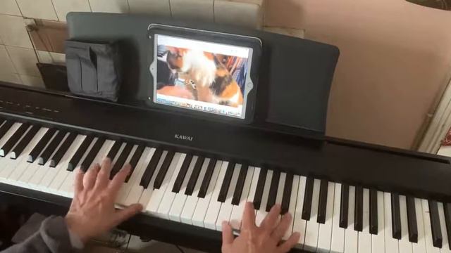 Mandy by Barry Manilow on Kawai ES110 piano Alex Govier смотреть онлайн
