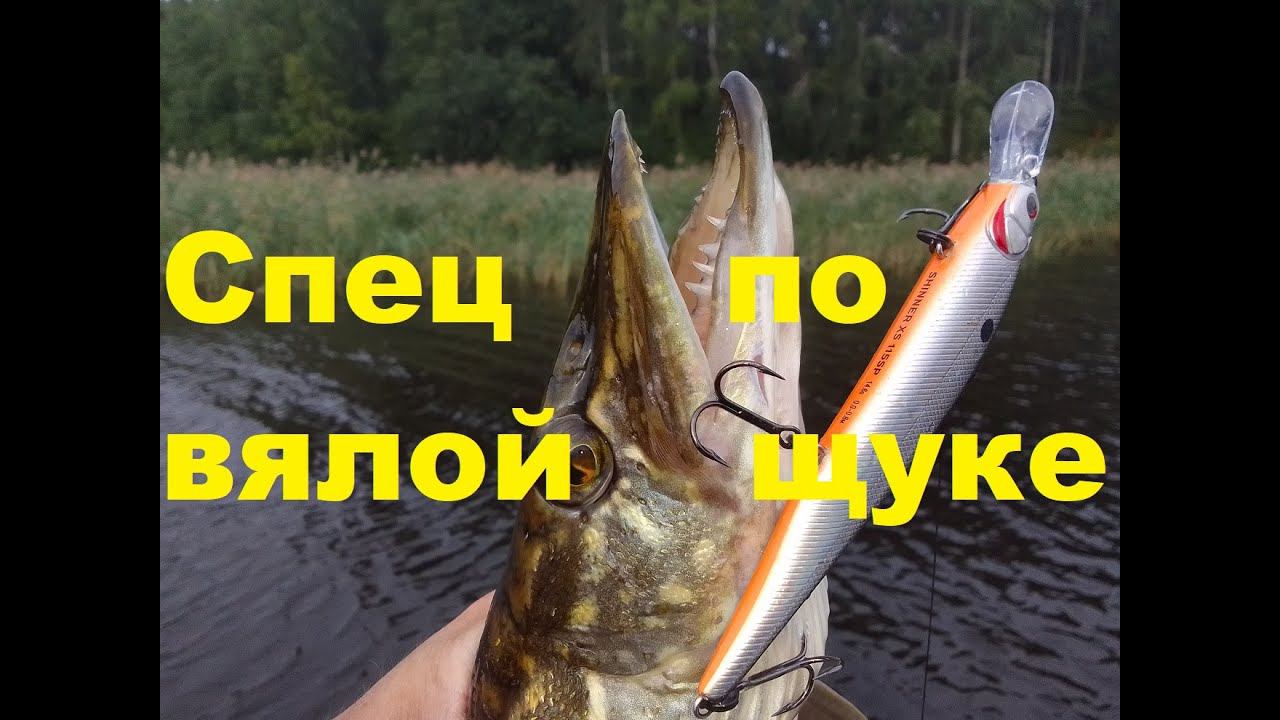 Спец по вялой щуке. Обзор воблера Kosadaka Shinner XS. смотреть онлайн