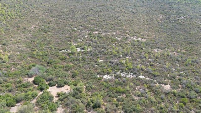 Турция, Бодрум, отель Crystal Green Bay Resort & Spa 5 смотреть онлайн