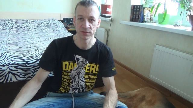 Немецкая овчарка: описание породы, стоит ли заводить (плюсы и минусы). смотреть онлайн