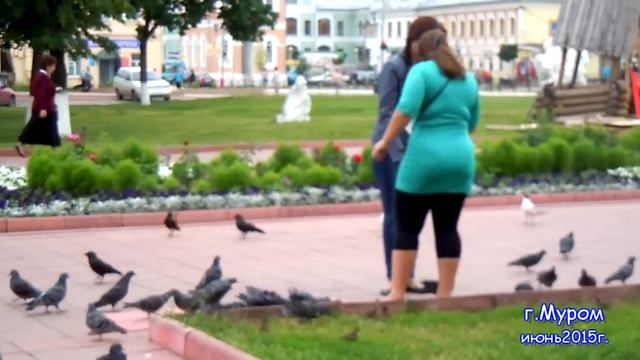 Зарисовка: город,люди,птицы... смотреть онлайн