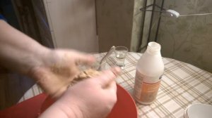 домашняя древесная пульпа, замес, разные пробы и составы