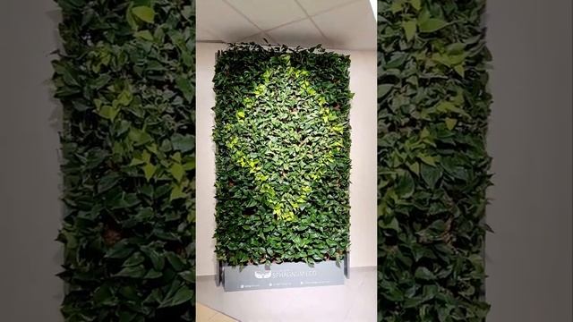 Сфагновая стена из живых растений смотреть онлайн