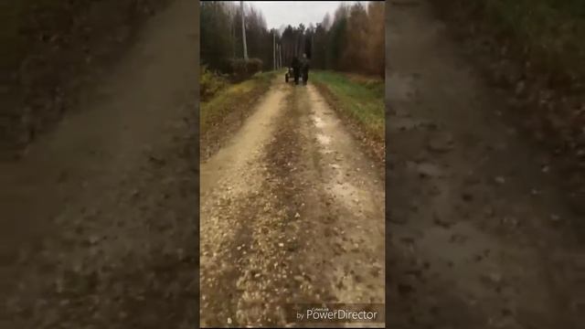 Запрягаем нашу Абинэю в двуколку