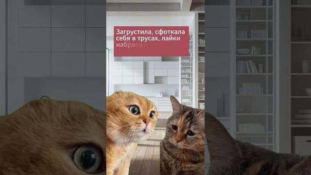 Хорошо быть девушкой )))))))) #shortsvideo #cat #говорящиекоты #memes #talkingcat смотреть онлайн