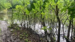 Рыбалка в Брянске