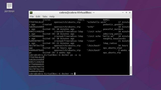 04. Remove one or more docker container смотреть онлайн