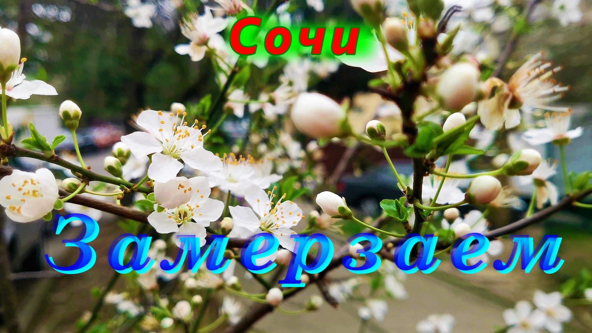 Сочи/ Замерзаем/ Улица Туапсинская весной смотреть онлайн