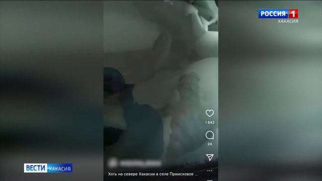 В Приисковом машину занесло снегом изнутри