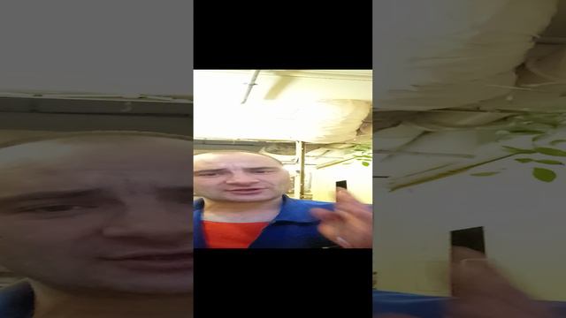 Коротко и ясно шутка #юмор #прикол #смех #забава #анекдот #диалог #быстро