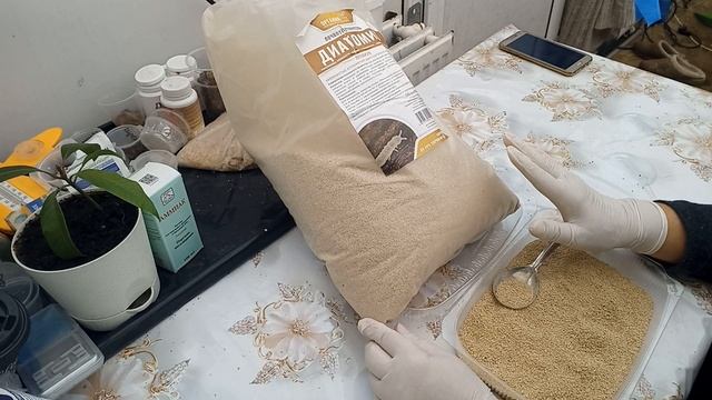 Дизайн Одежды