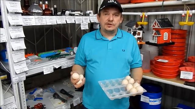 Муляж куриного яйца. Подкладное яйцо для кур. Зачем это нужно? смотреть онлайн