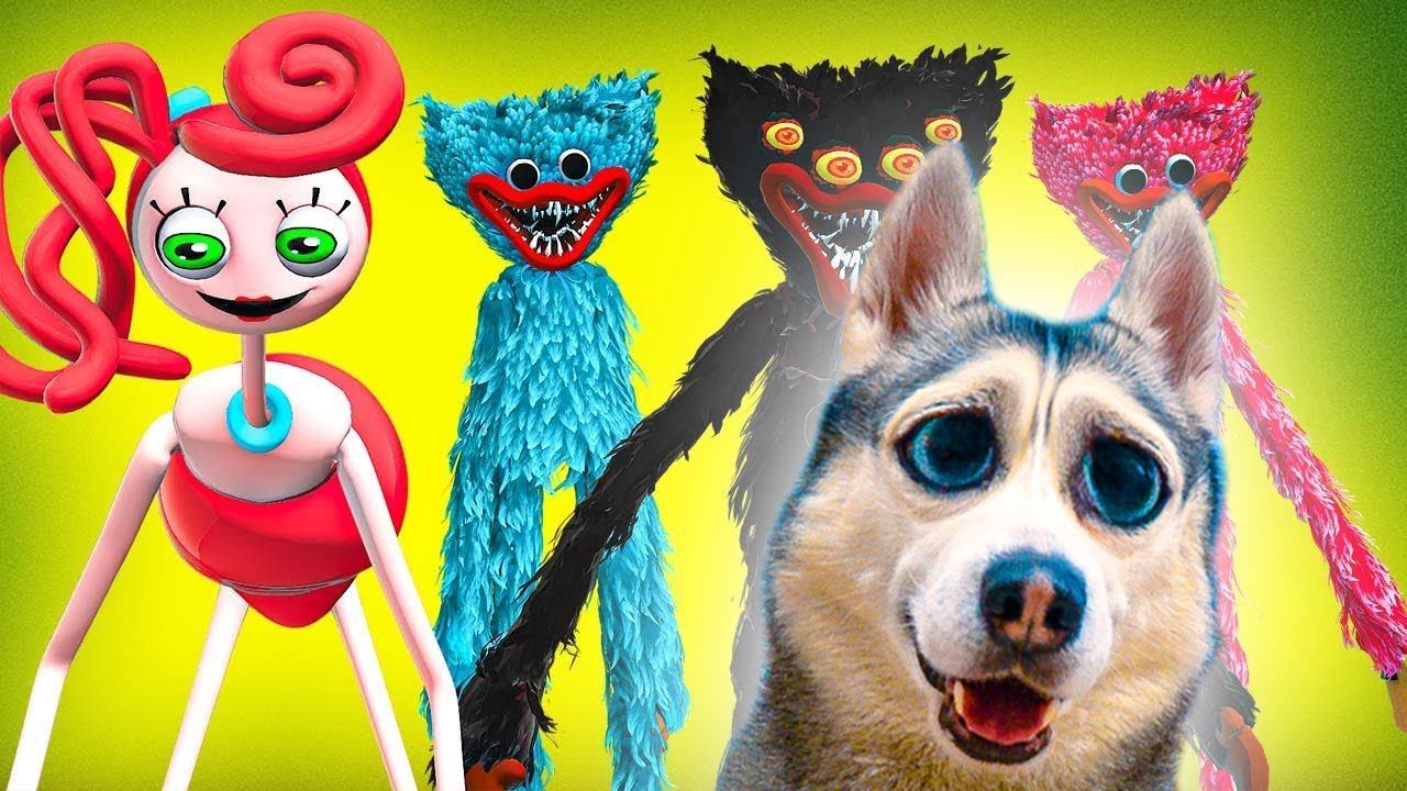 Все серии с ХАГГИ ВАГГИ в РЕАЛЬНОЙ ЖИЗНИ! Все монстры POPPY PLAYTIME! Хаски Бандит Говорящая собака смотреть онлайн