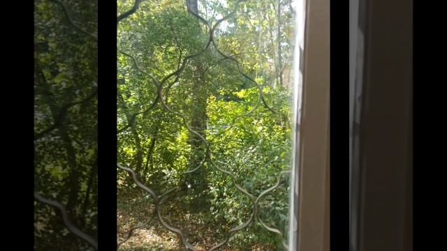 Сдается 1 комнатная квартира в Подольске. Новый ремонт. Новая мебель. Новая техника. 1 этаж смотреть онлайн