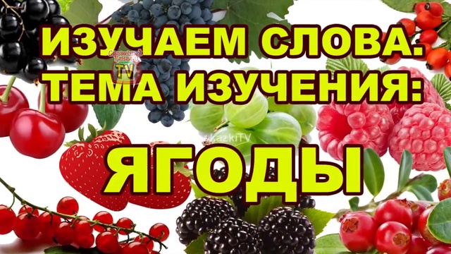 Изучаем слова. Ягоды. Обучающее видео для детей.