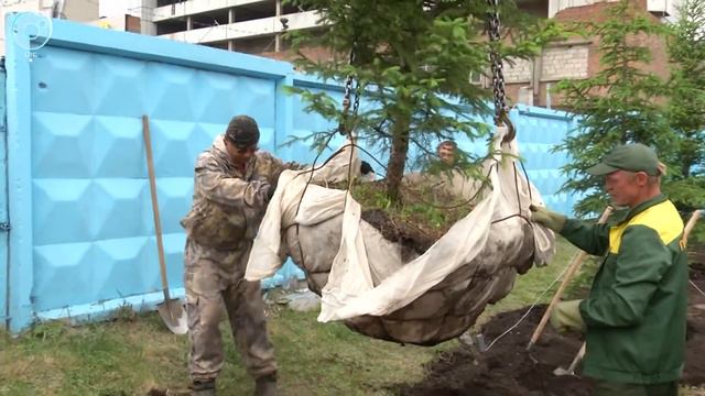 Пустырь возле самого известного долгостроя в Новосибирске превратится в сквер смотреть онлайн