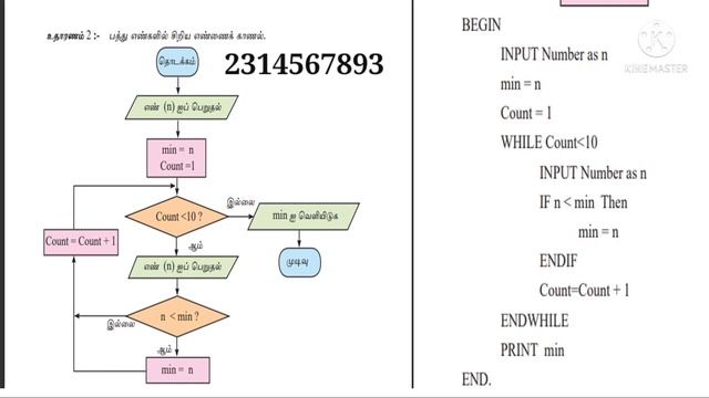Grade 11 | Subject 01 | Part 04 | Flowchart to pseudo code converting| Pascal Language Introduction смотреть онлайн