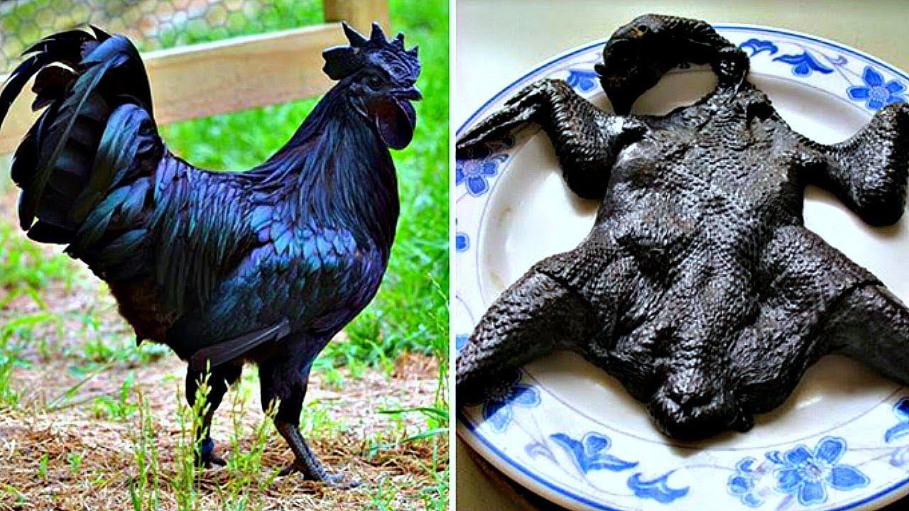 ЕДА КОТОРУЮ МОГУТ КУПИТЬ ТОЛЬКО БОГАТЫЕ ЛЮДИ смотреть онлайн