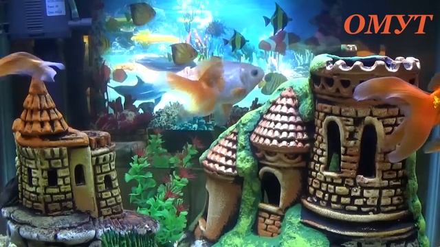 214. УБИРАЕМ МНИТЕЛЬНОСТЬ, СТРАХИ И ЧИСТИМ ЖИЛЬЁ . смотреть онлайн