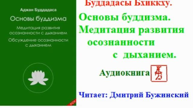 Буддадасы Бхиккху. Основы буддизма. Медитация развития осознанности с дыханием смотреть онлайн