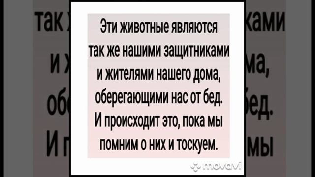 DOMOVOY E LA CASA КАК ЗАБРАТЬ ДОМОВОГО В НОВЫЙ ДОМ?ЧТО ДЕЛАТЬ ЕСЛИ СТАРЫЕ ХОЗЯЕВА НЕ ВЗЯЛИ СВОЕГО?. смотреть онлайн