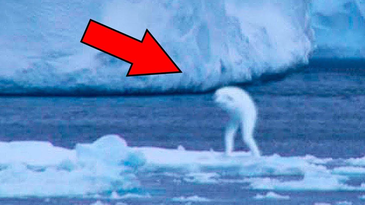 Дрон Заснял То, Что Никто Не Должен Был Увидеть смотреть онлайн