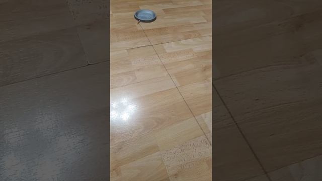 веб шутер Маелза Марализа. смотреть онлайн