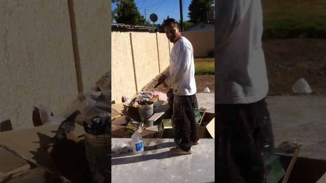 Bird Savior.MOV смотреть онлайн