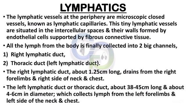 LYMPH, LYMPH NODE & RETICULOENDOTHELIAL SYSTEM смотреть онлайн