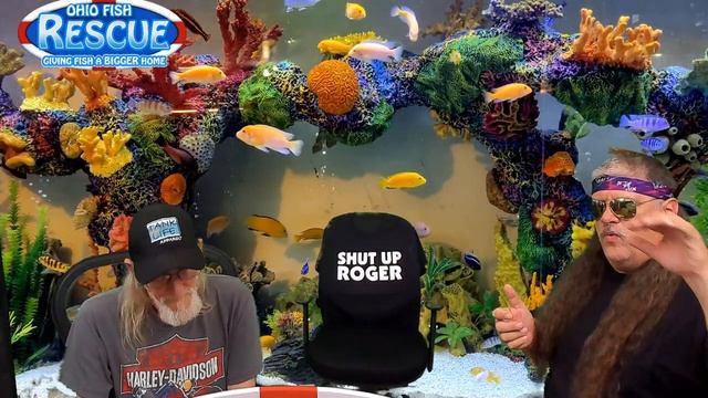 Stay Fishy Friday, Tracy update, Willstar and Reaper joins me 08/27//21 смотреть онлайн