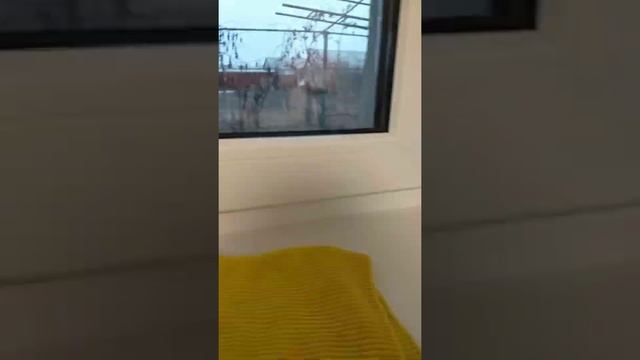 Мою окна перед Новым годом : салфетка для стекла, губка для посуды и вельветовая от Гринвей♥️ смотреть онлайн