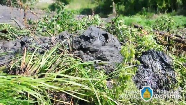 с Пластинки чистка реки Усмань, Усмань новый формат смотреть онлайн