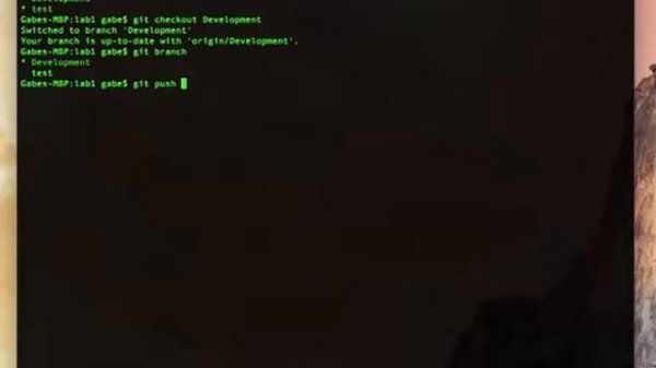 GiT Lab 10: Delete a branch both locally and remotely