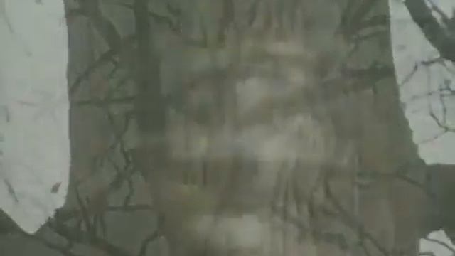 Утешители старцы Оптинские #оптина смотреть онлайн