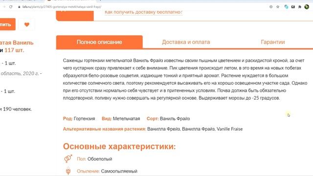 Гортензия метельчатая Ваниль Фрайз/ Успеть купить и посадить в этом году! смотреть онлайн