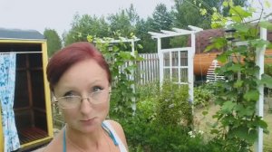 Видео привет с 6 соток 18 июля 2023 года