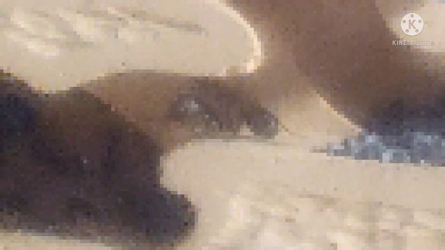 муравьи в майнкрафте смотреть онлайн