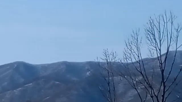Выброска десанта в Приморье смотреть онлайн