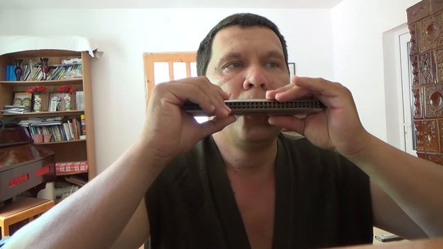 În A Domnului Lucrare | Hohner Echo Harp 57/120 C/G смотреть онлайн